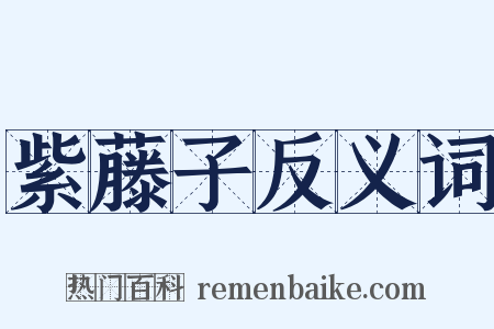 紫藤子反义词是什么意思的图片